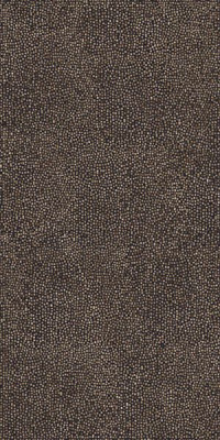 Керамогранит SEM.TESSER.FRAPUCC. LAP 10 мм 645M6YC 59x118.2 от Emil Ceramica (Италия) в Москве