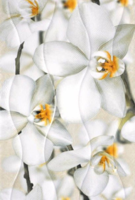 Настенная плитка Энигма 3 тип 1 27.5x40 от Керамин (Беларусь) в Москве