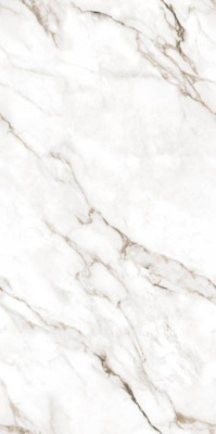 Керамогранит Infinity Statuario Super 60x120 от Ocean Ceramic (Индия) в Москве