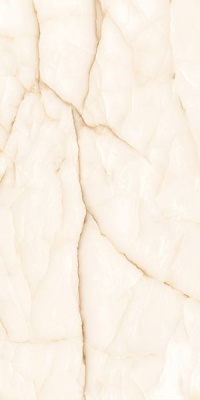 Керамогранит ONYX Leaf Full Lappato 60x120 от DecoVita (Турция) в Москве
