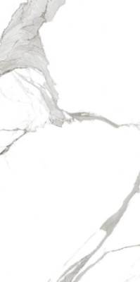 Керамогранит Statuario Blanco glossy 60x120 от Maimoon Ceramica (Индия) в Москве