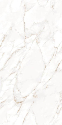Керамогранит Infinity Statuario Wox Gold 60x120 от Ocean Ceramic (Индия) в Москве