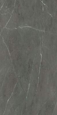 Керамогранит NOBILE GREY GRAFITE RET (PF60006322) 60x120 от Ariana (Италия) в Москве