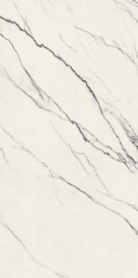 Керамогранит Forte Dei Marmi Lilac Honed Satin (610015000655) 60x120 от Atlas Concorde (Россия) в Москве