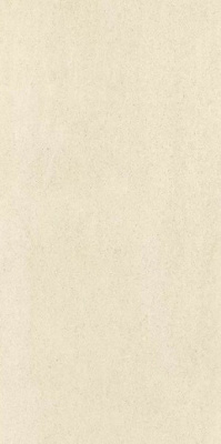 Керамогранит BASALTINA FBA60121D матовый Rect 60x120 от Enping Jingye Ceramic (Китай) в Москве