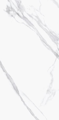 Керамогранит PALACIO Remix Statuario Polished 60x120 от Staro (Индия) в Москве