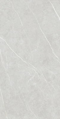 Керамогранит ELITE SILVER (6mm) (матовая) 120x280 от TAU Ceramica (Испания) в Москве