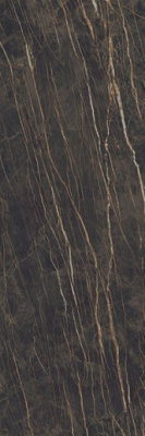 Керамогранит I NATURALI NOIR DESIR (LAMF007945_IT) 100x300x3 100x300x3 от Laminam (Италия) в Москве