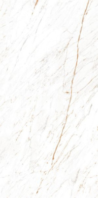 Керамогранит Nero White 60x120 от Ocean Ceramic (Индия) в Москве
