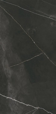 Керамогранит QUASAR MAT BLACK RECT.POR.TILE (P10758.6) 60x120 от Yurtbay (Турция) в Москве