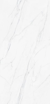 Керамогранит VARENNA CARRARA NAT. (6mm) (матовая) 120x260 от TAU Ceramica (Испания) в Москве