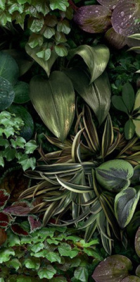 Керамогранит PAPER41 PRO Jane B (4100152) 50x100 от 41ZERO42 (Италия) в Москве