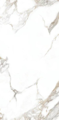 Керамогранит AOZ5 OOOC Carrera White Silky Rectified 59.7x119.8 от Goldis Tile (Иран) в Москве