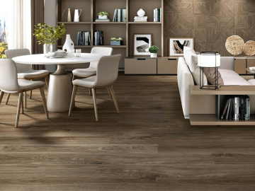 Плитка CENTURY (Colorker) в Москве