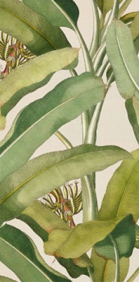 Керамогранит PAPER41 PRO Musa 4100336 50x100 от 41ZERO42 (Италия) в Москве