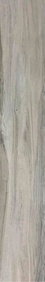 Керамогранит DRIFT Wood Bianco Matt 20x120 от ITC (Индия) в Москве