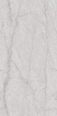 Керамогранит Awetic Bianco Glossy 60x120 от Colortile (Индия) в Москве