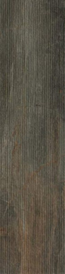 Керамогранит Fossil Lines Bruno Ret 30x120 от Serenissima (Италия) в Москве