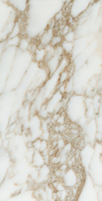 Керамогранит RAIN ARABESCATO GOLD (глянец) Rect. 60x120 от Pamesa (Испания) в Москве