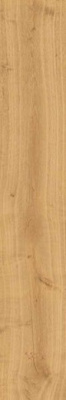 Керамогранит Heartwood Malt (AL7E) 20x120 от Atlas Concorde (Италия) в Москве