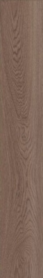 Керамогранит POETRY WOOD OAK NAT RETT 120 20x120 от ABK Ceramiche (Италия) в Москве