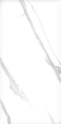 Керамогранит Aquane Satuario glossy 60x120 от Maimoon Ceramica (Индия) в Москве