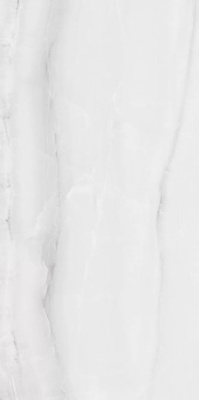 Керамогранит Rivanta Silver Glossy 60x120 от Art Ceramic (Индия) в Москве