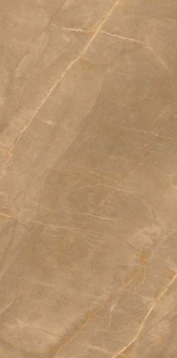Керамогранит Eco Marble Royalish Brown 120x60 от Artcer (Индия) в Москве