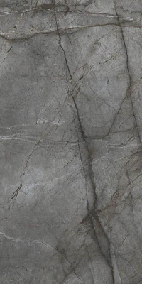 Керамогранит BIEN0022 Bien Root Silver Rec Full Lap 60x120x9 от Bien (Турция) в Москве