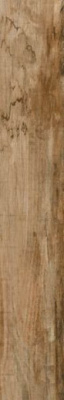 Керамогранит Veneto-R Canela 19.2x119.3 от Vives Ceramica (Испания) в Москве