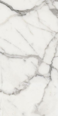 Керамогранит ELEMENTS LUX CALACATTA LAP RT (A2N1) 120x278 от KEOPE Ceramiche (Италия) в Москве