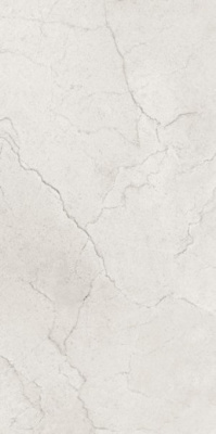 Керамогранит Flority Ash Glossy 60x120 от Maimoon Ceramica (Индия) в Москве