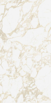 Керамогранит PULP Gold Raw (4100710) 60x120 от 41ZERO42 (Италия) в Москве