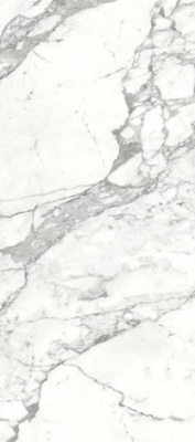 Керамогранит Staturio Venatino Polished (6 мм) (MN031AP261206) 120x260 от Moreroom (Китай) в Москве