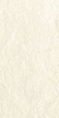 Керамогранит Riverstone Matt. White 60x120 от Seranit (Турция) в Москве
