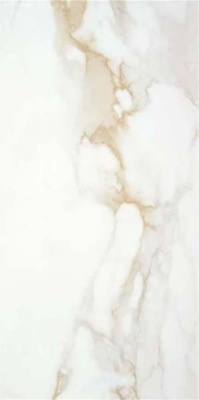 Керамогранит P.E. PUL. Camile gold rect. 60 60x120 от STN Ceramica (Stylnul) (Испания) в Москве