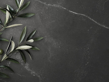 Плитка FORLI (Nanogress) в Москве