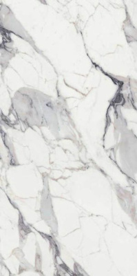 Керамогранит LES ORIGINES DE REX ARGENT GLOSSY (769859) 60x120 от REX Ceramiche (Италия) в Москве