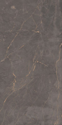 Керамогранит 12213 Carving 60x120 от Maimoon Ceramica (Индия) в Москве