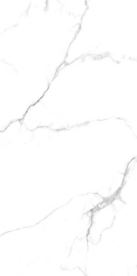 Керамогранит Caribbean White Glossy 60x120 от Maimoon Ceramica (Индия) в Москве