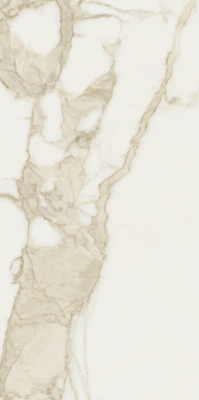 Керамогранит CAVE FORTE+ LUC RET (T810395/R) 60x120 от Saime Ceramiche (Италия) в Москве