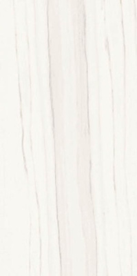 Керамогранит Marmi Classici ZEBRINO BIANCO Soft 60x120 от Ariostea (Италия) в Москве