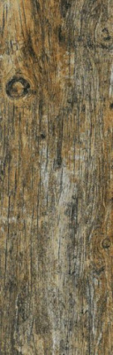 Керамогранит Northwood глаз. бежевый (C-NW4M012D) 18.5x59.8 от Cersanit (Россия) в Москве