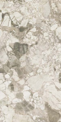 Керамогранит Forte Dei Marmi Ceppo Apuano Cream Matt (610010002715) 80x160 от Atlas Concorde (Россия) в Москве