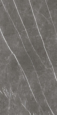 Керамогранит MUSEUM GREYSTONE Argent/EP (23459) 60x120 от Museum (Испания) в Москве