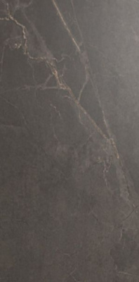 Керамогранит ADRIA MOCHA Rectified 60x120 от Kutahya (Турция) в Москве