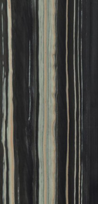 Керамогранит BOSCO BLACK PUL. (6mm) (полированная) 120x260 от TAU Ceramica (Испания) в Москве