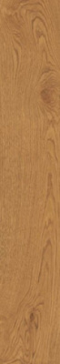 Керамогранит Exence Amber (AO49) 20x120 от Atlas Concorde (Италия) в Москве