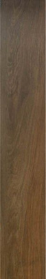 Керамогранит Rainier Nogal 20x120 от Pamesa (Испания) в Москве