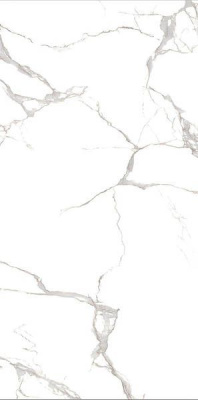 Керамогранит MSZ 040 60x120 от Globus Ceramica (Китай) в Москве